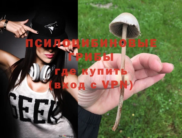 хмурый Верея