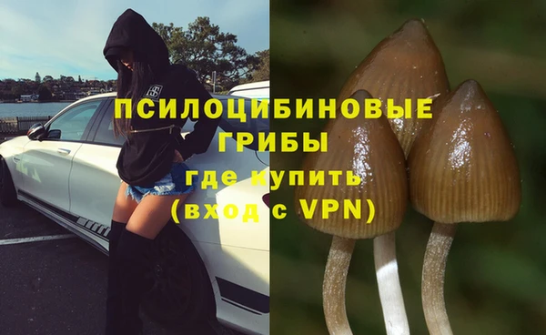 каннабис Михайловск