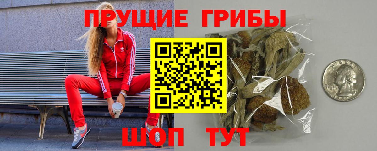 купить  цена  Советская Гавань  Галлюциногенные грибы Psilocybe  Галлюциногенные грибы Cubensis 