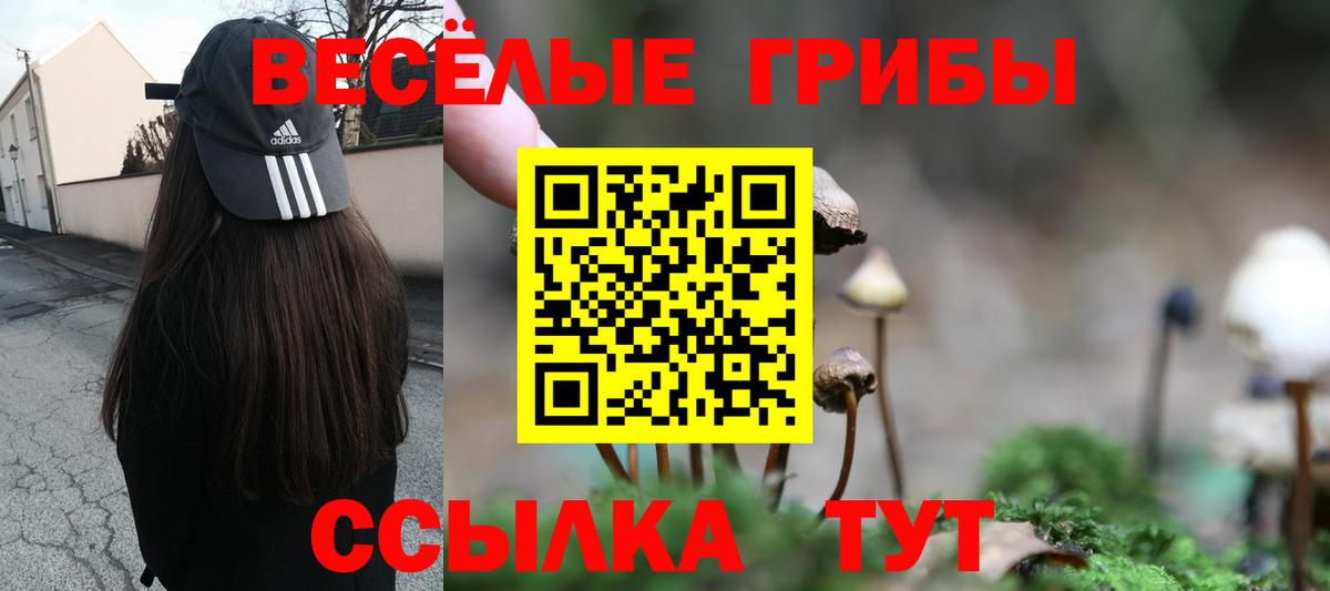 Галлюциногенные грибы Psilocybe  Вход с VPN  цены наркотик  Советская Гавань 