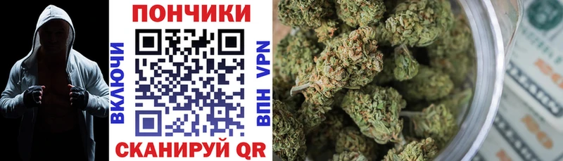 наркота  Советская Гавань  Конопля марихуана 